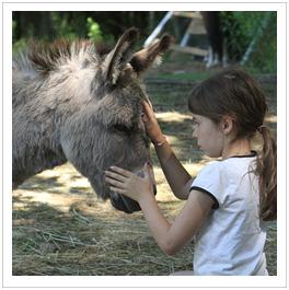 girl petting donkey